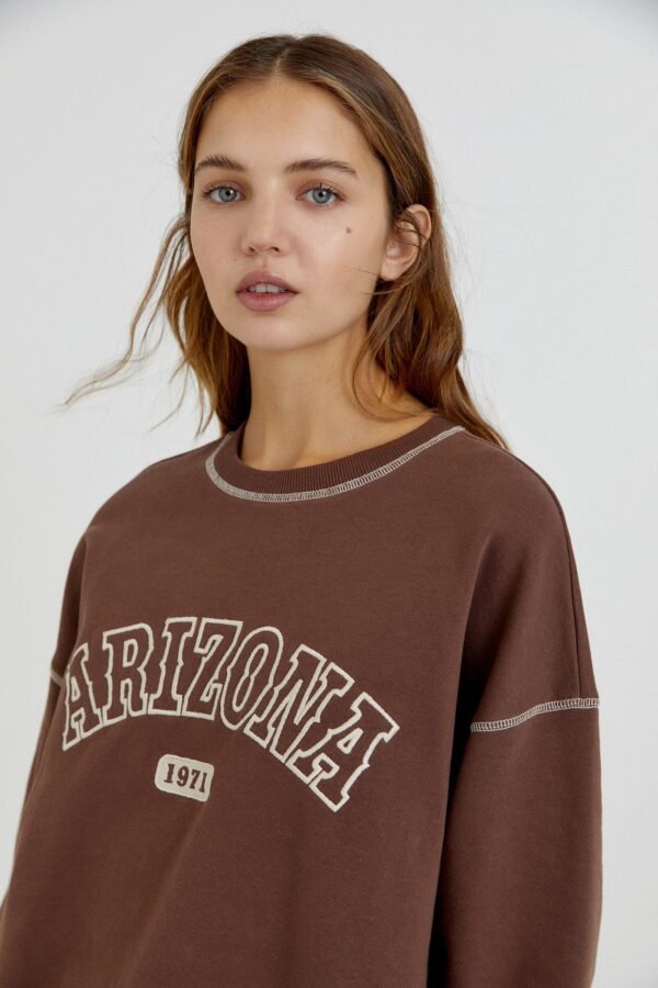 Brown Arizona Sweatshirt - Image 3